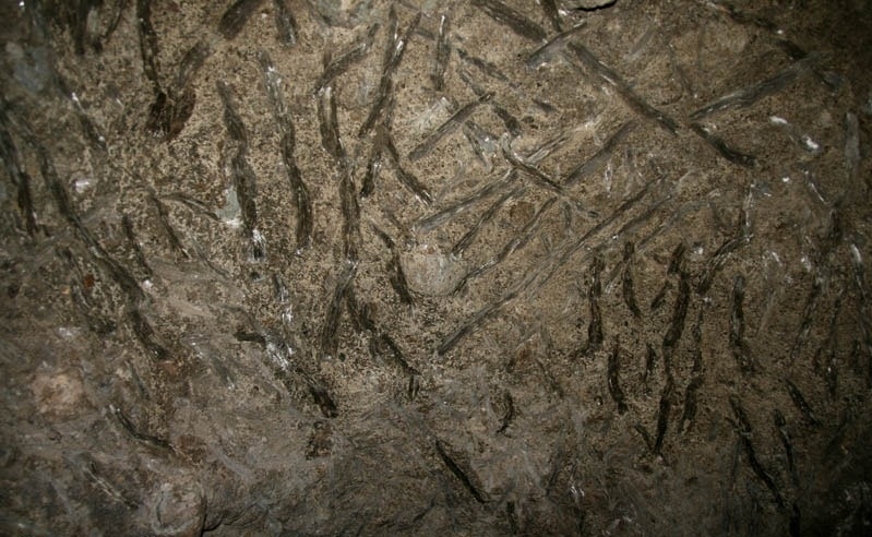 Từng đoàn voi tự "khai thác" muối để ăn trong hang núi lửa tung doan voi tu khai thac muoi de an trong hang nui lua