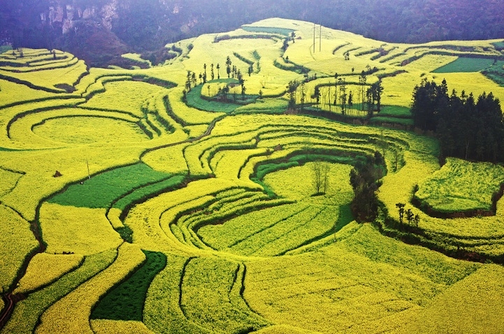 bien hoa vang ruc ro thanh dia song ao noi vung que
