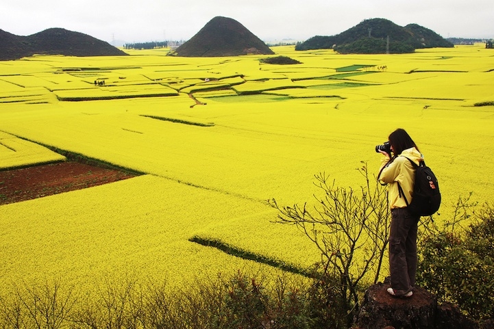 bien hoa vang ruc ro thanh dia song ao noi vung que