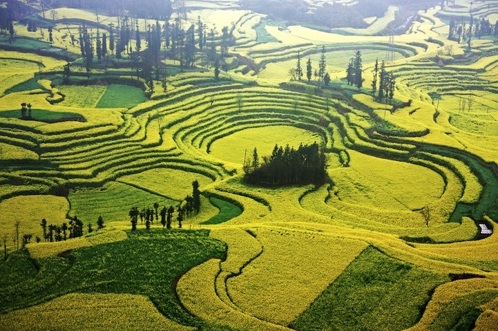 bien hoa vang ruc ro thanh dia song ao noi vung que