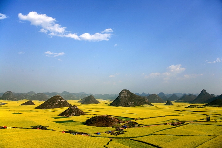 bien hoa vang ruc ro thanh dia song ao noi vung que