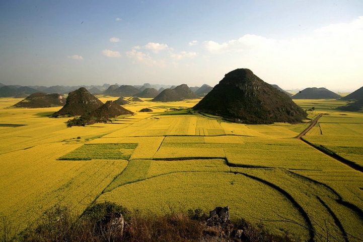 bien hoa vang ruc ro thanh dia song ao noi vung que