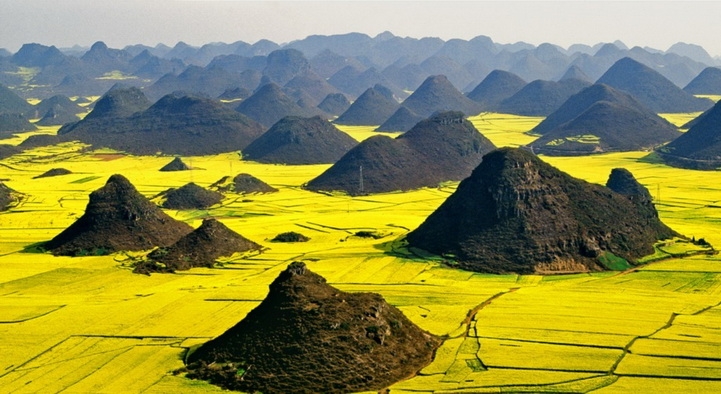 bien hoa vang ruc ro thanh dia song ao noi vung que