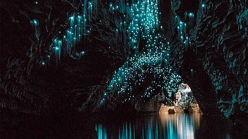 Hang động được thắp sáng bởi... đom đóm