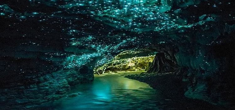 Hang động được thắp sáng bởi... đom đóm