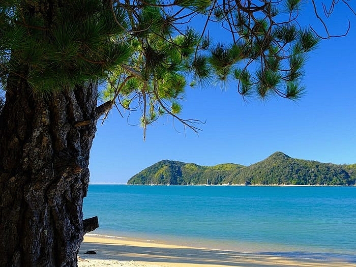 Những điều tuyệt vời và tồi tệ nhất khi khám phá New Zealand bằng xe cắm trại