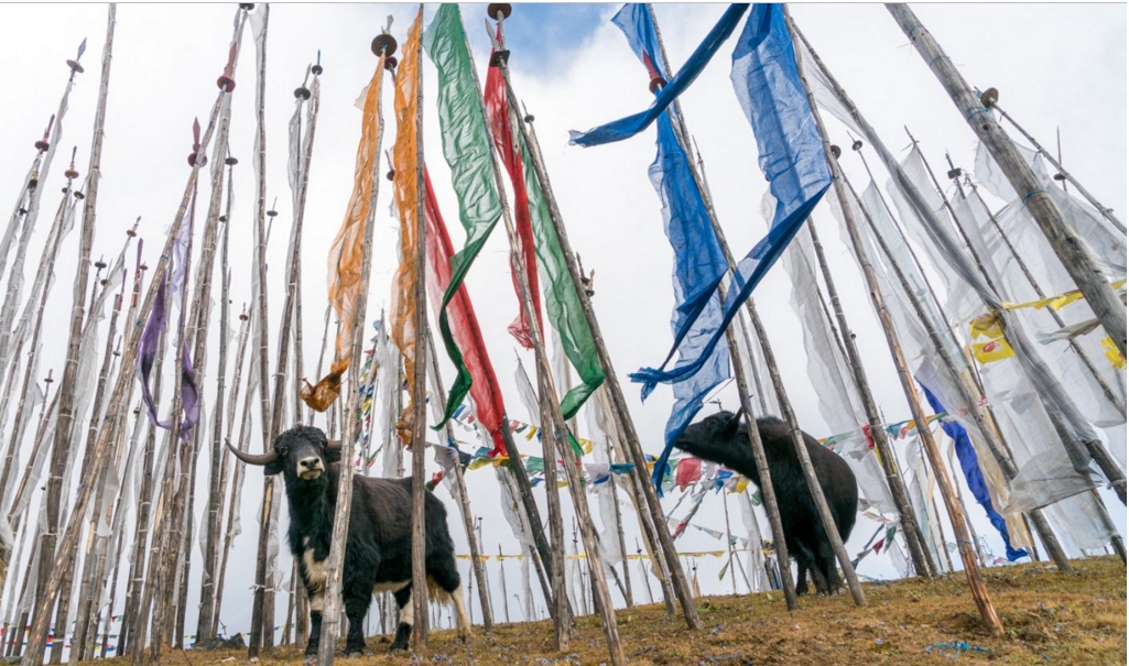 Bhutan – một trong những quốc gia hạnh phúc nhất thế giới qua lời kể của du khách (phần II) bhutan mot trong nhung quoc gia hanh phuc nhat the gioi qua loi ke cua du khach phan ii