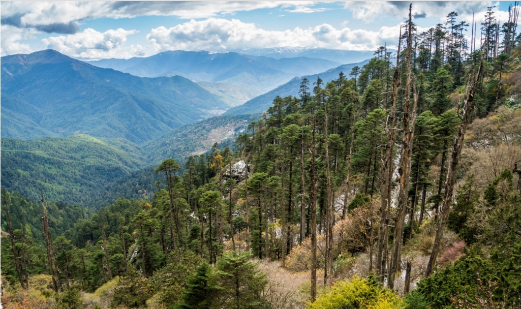 Bhutan – một trong những quốc gia hạnh phúc nhất thế giới qua lời kể của du khách (phần II) bhutan mot trong nhung quoc gia hanh phuc nhat the gioi qua loi ke cua du khach phan ii