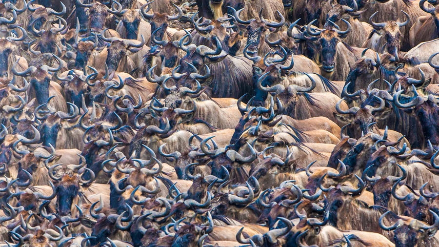 Kenya – điểm du lịch số 1 của Đông Phi kenya diem du lich so 1 cua dong phi