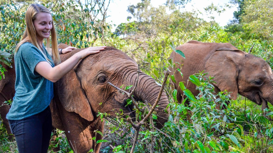 Kenya – điểm du lịch số 1 của Đông Phi kenya diem du lich so 1 cua dong phi