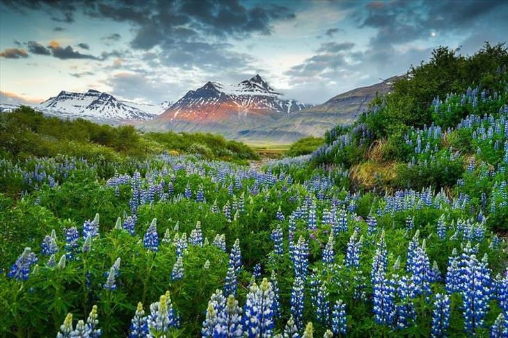 du lich iceland den de cam nhan mot dat nuoc an toan nhat the gioi