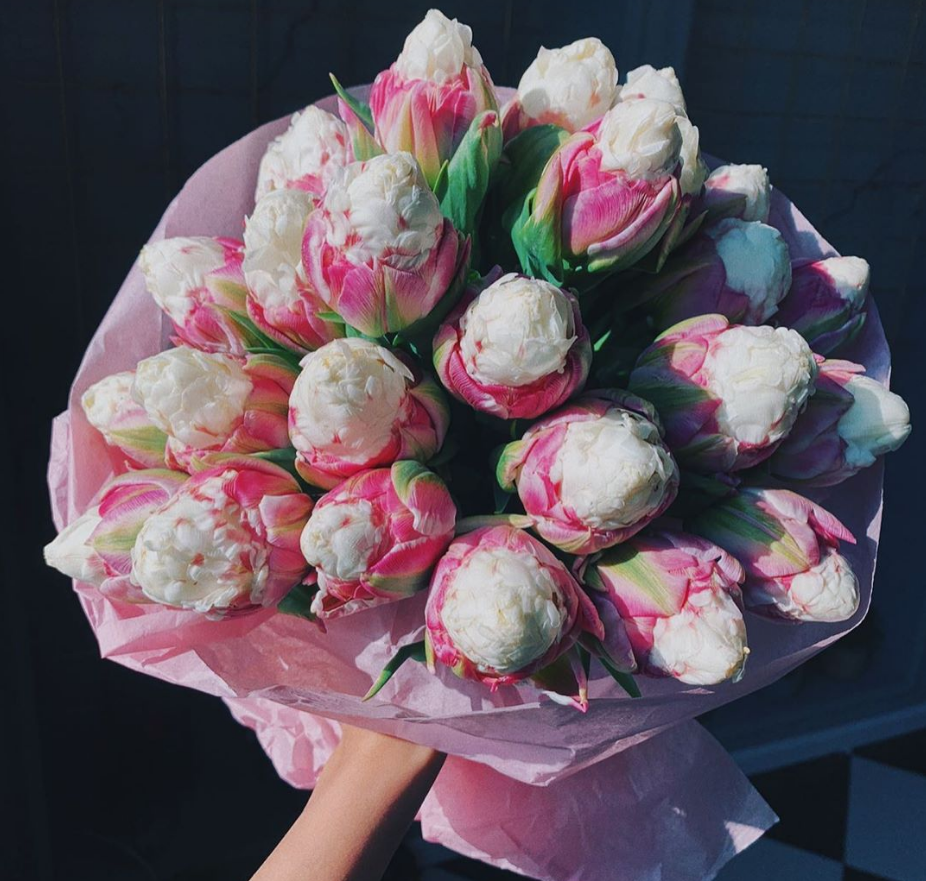 tan chay voi loai hoa co hinh dang ngot ngao nhu que kem