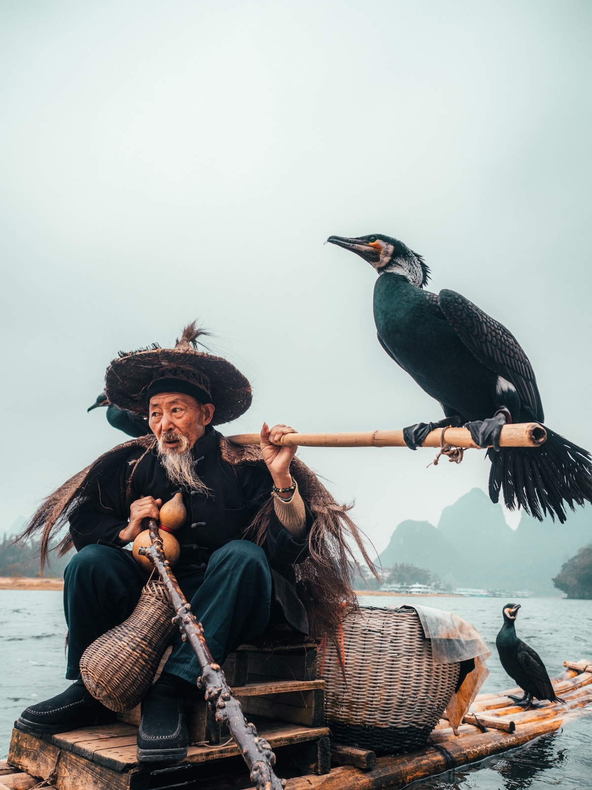 nghe cau ca bang chim coc truyen thong cua ngu dan trung quoc