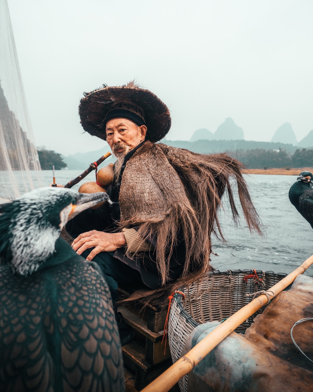 nghe cau ca bang chim coc truyen thong cua ngu dan trung quoc
