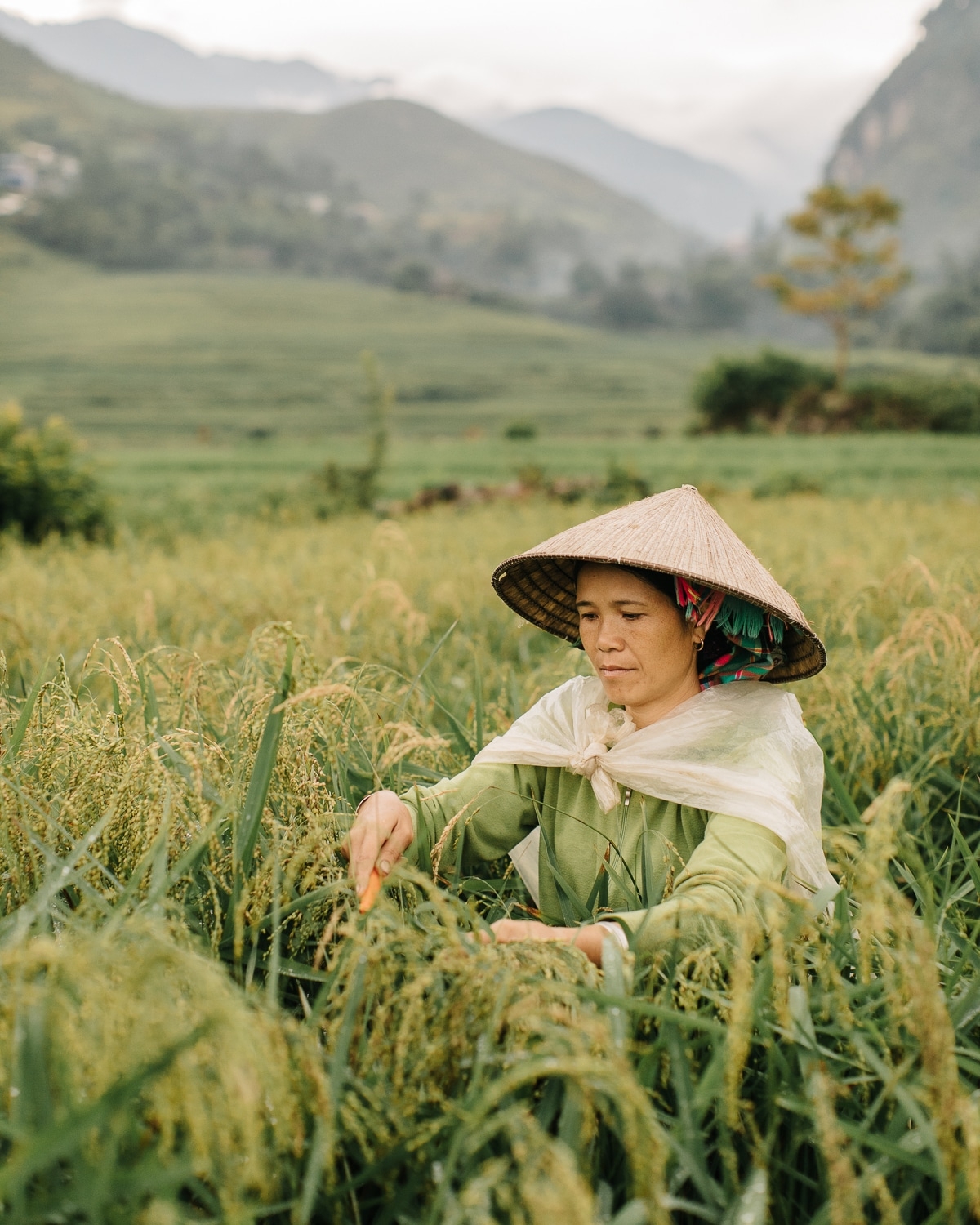 Cuộc sống đời thường bình dị ở miền bắc Việt Nam dưới con mắt thẩm mỹ của nhiếp ảnh gia Bỉ cuoc song doi thuong binh di o mien bac viet nam duoi con mat tham my cua nhiep anh gia bi