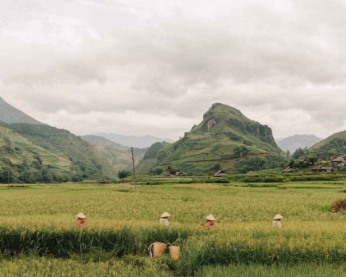 Cuộc sống đời thường bình dị ở miền bắc Việt Nam dưới con mắt thẩm mỹ của nhiếp ảnh gia Bỉ cuoc song doi thuong binh di o mien bac viet nam duoi con mat tham my cua nhiep anh gia bi