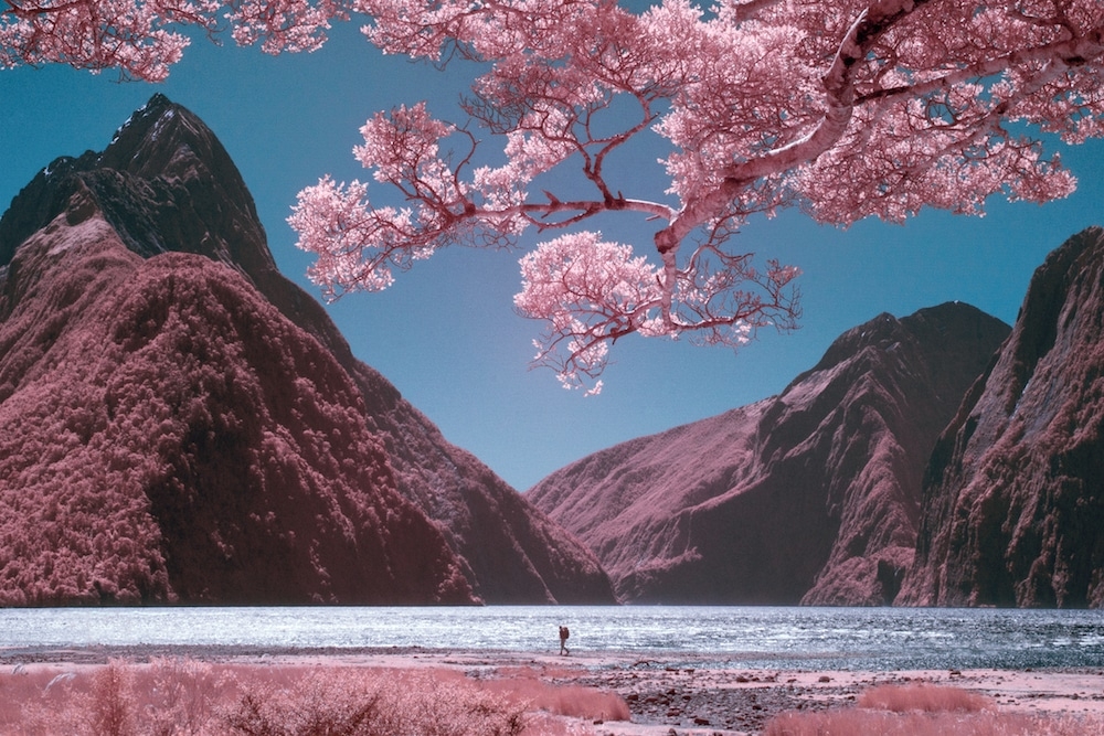 new zealand dep mong mo qua may anh hong ngoai