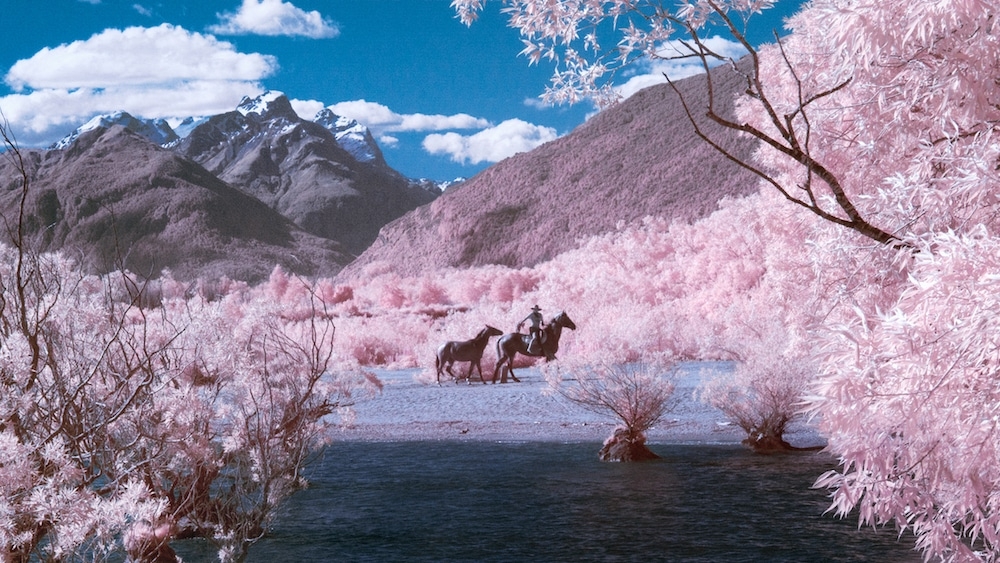 new zealand dep mong mo qua may anh hong ngoai