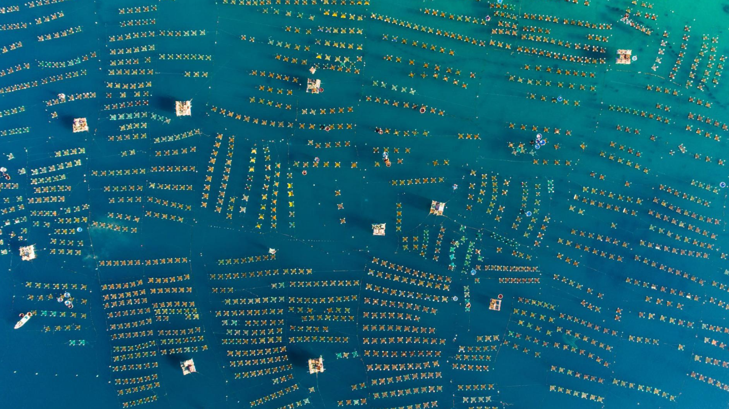 5817-9