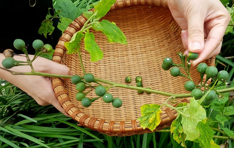 Tinh tế: Món canh bon của người Thái Tây Bắc
