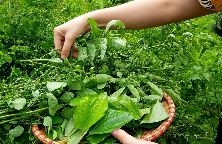 Tinh tế: Món canh bon của người Thái Tây Bắc