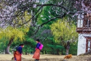 Bhutan giống như xứ sở thần tiên qua lời kể của du khách Việt