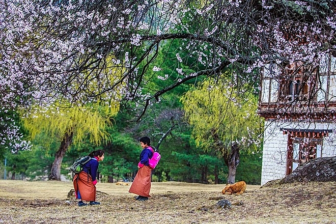Bhutan giống như xứ sở thần tiên qua lời kể của du khách Việt bhutan-giong-nhu-xu-so-than-tien-qua-loi-ke-cua-du-khach-viet-1