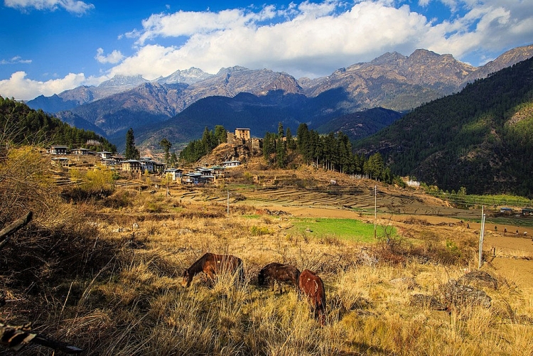 Bhutan giống như xứ sở thần tiên qua lời kể của du khách Việt bhutan-giong-nhu-xu-so-than-tien-qua-loi-ke-cua-du-khach-viet-13