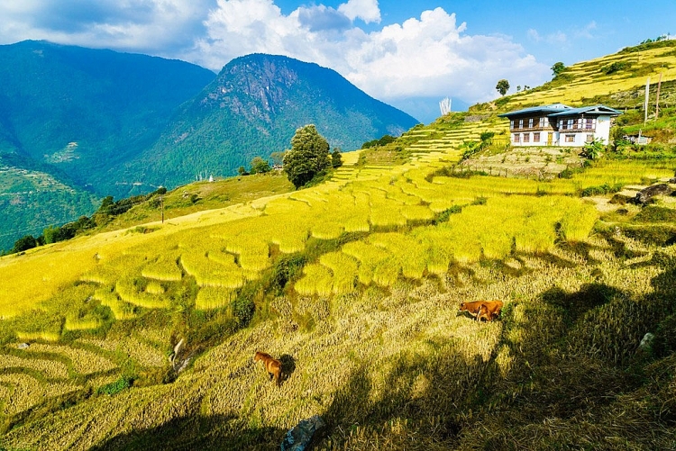 Bhutan giống như xứ sở thần tiên qua lời kể của du khách Việt bhutan-giong-nhu-xu-so-than-tien-qua-loi-ke-cua-du-khach-viet-8