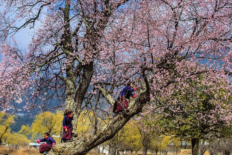 Bhutan giống như xứ sở thần tiên qua lời kể của du khách Việt bhutan-giong-nhu-xu-so-than-tien-qua-loi-ke-cua-du-khach-viet-9