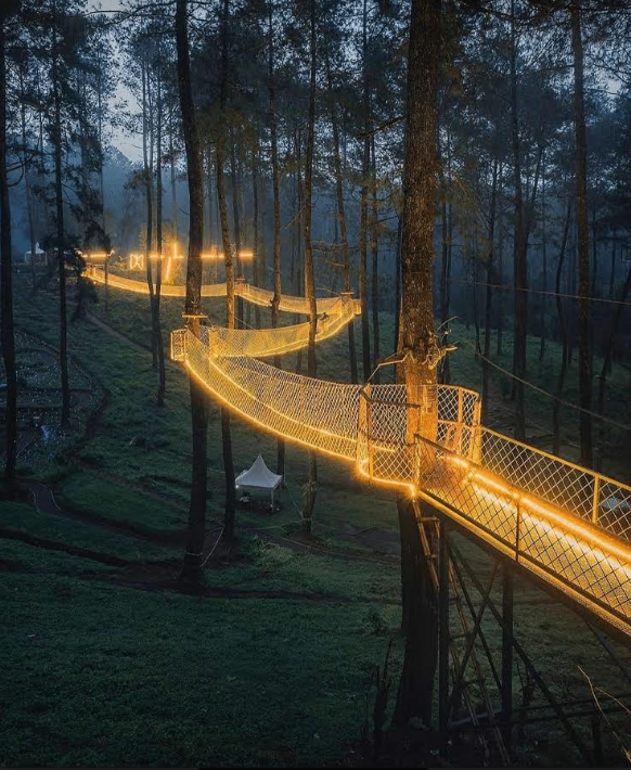 Cây cầu phát sáng giữa rừng ở Indonesia