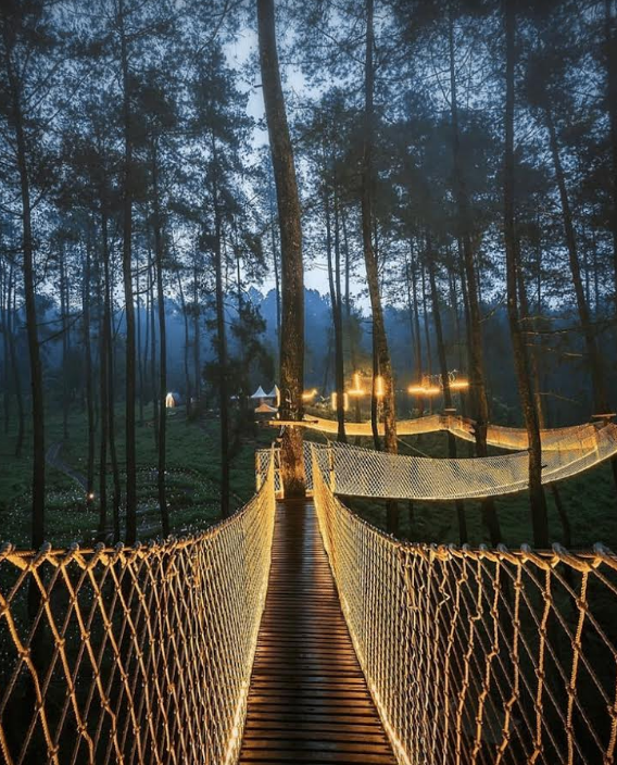 Cây cầu phát sáng giữa rừng ở Indonesia