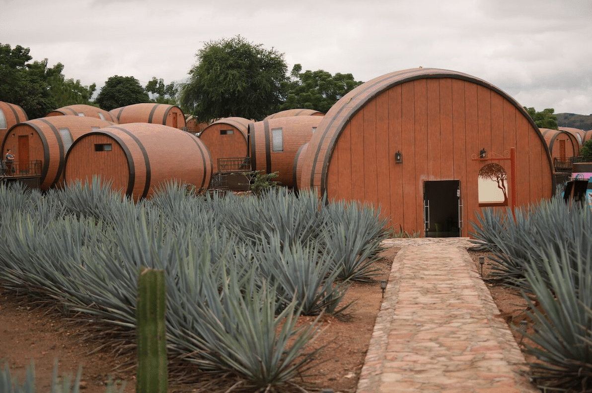 Qua đêm tại “Thùng Rượu” giữa thị trấn Tequila