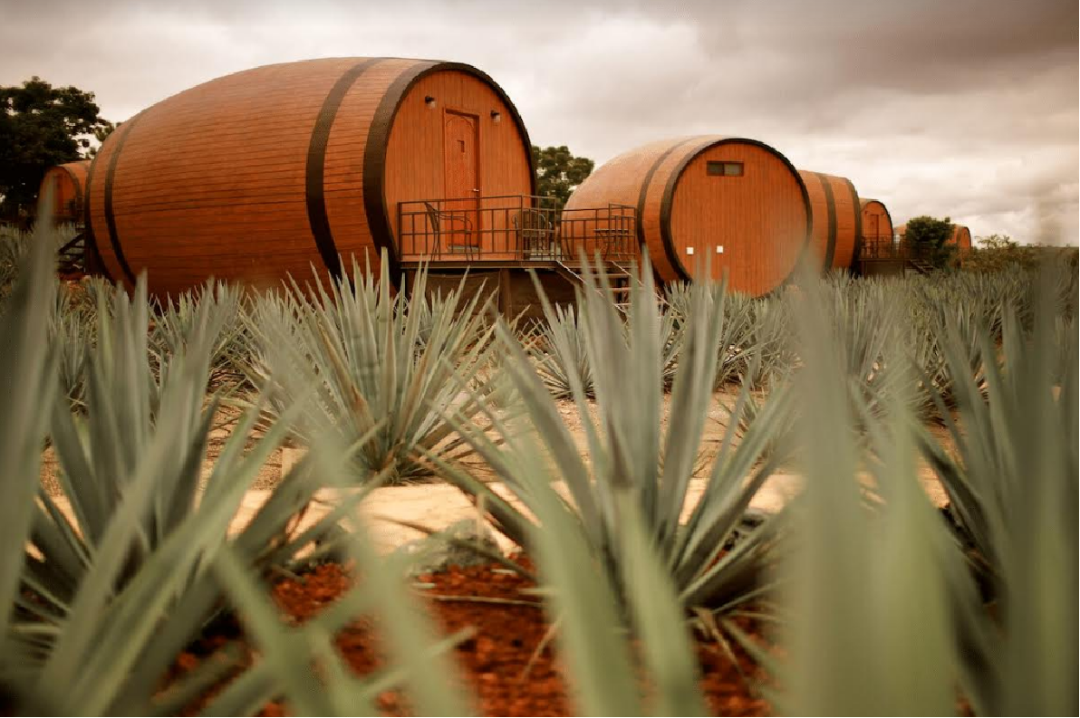 Qua đêm tại “Thùng Rượu” giữa thị trấn Tequila