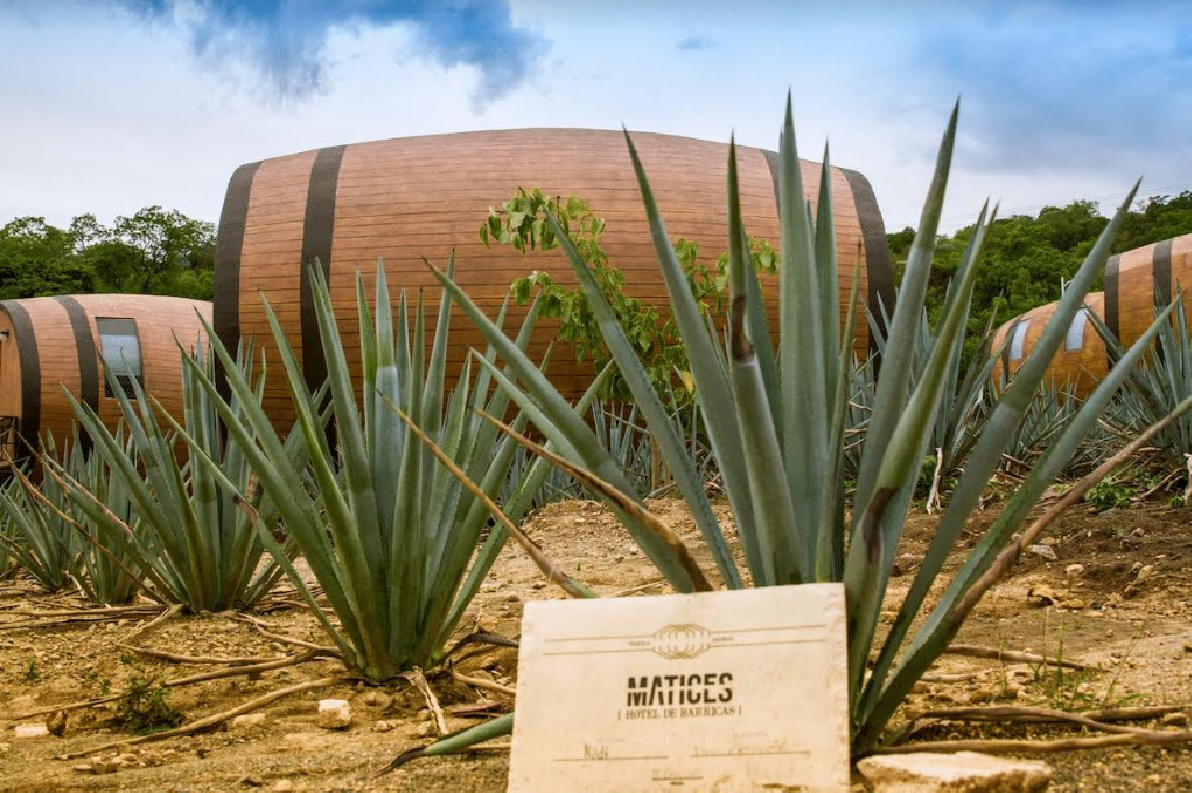 Qua đêm tại “Thùng Rượu” giữa thị trấn Tequila