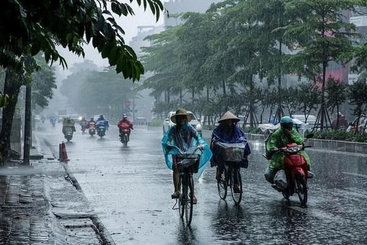 Dự báo thời tiết hôm nay ngày 20/11/2020: Miền Bắc sương mù, miền Nam mưa dông