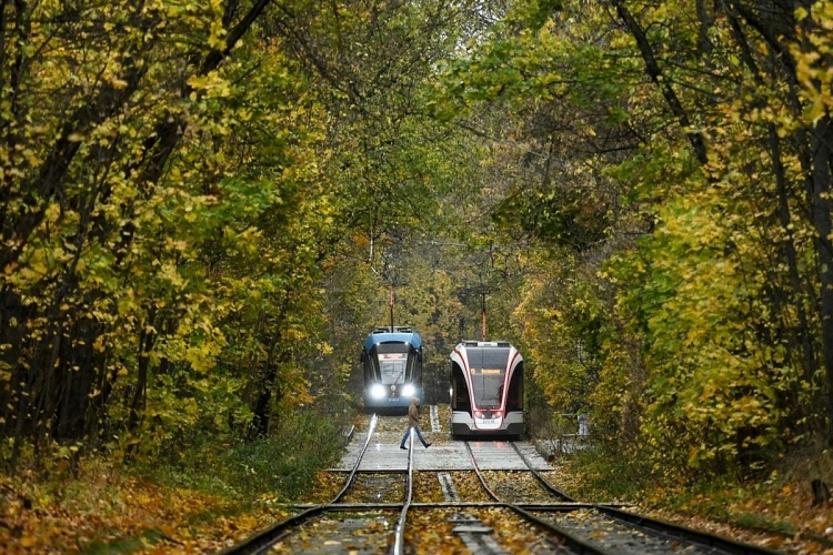 Vòng quanh thế giới để cảm nhận sắc màu mùa thu đẹp đến mê hồn