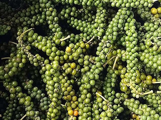 Giá tiêu hôm nay 8/12: Có xu hướng tăng nhẹ