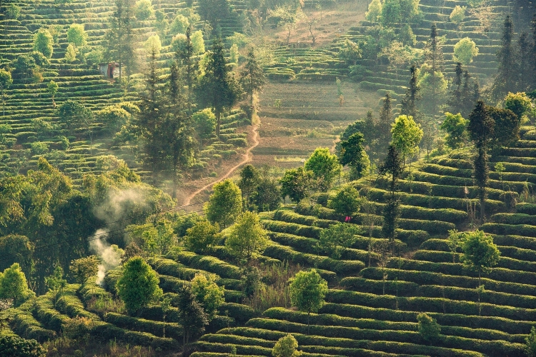 8 lý do tại sao Vân Nam là điểm du lịch ẩm thực độc đáo nhất Trung Quốc, thậm chí nhất thế giới