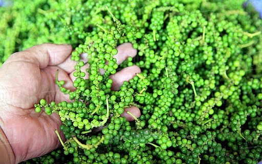 Giá tiêu hôm nay 12/12: Thị trường thế giới tăng nhẹ