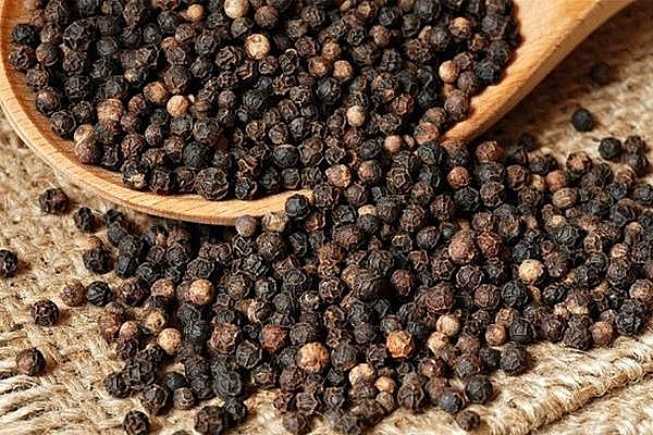 Giá tiêu hôm nay 18/12: Giảm mạnh tại các vùng trọng điểm