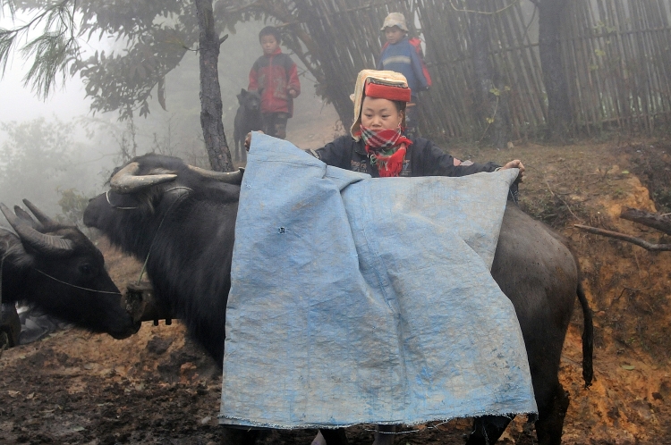 Dự báo thời tiết hôm nay ngày 20/12/2020: Miền Bắc duy trì rét đậm, trưa chiều hửng nắng Dự báo thời tiết hôm nay ngày 20/12/2020: Miền Bắc duy trì rét đậm, trưa chiều hửng nắng