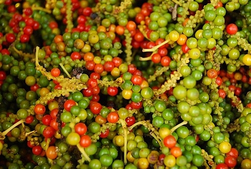 Giá tiêu hôm nay 27/12: Có nơi giảm đến 2.000 đồng/kg so với đầu tuần
