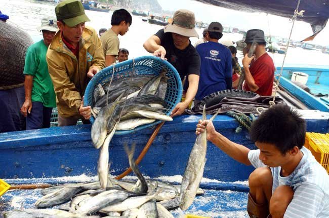 Phê duyệt Quy hoạch phát triển thủy sản đến 2020