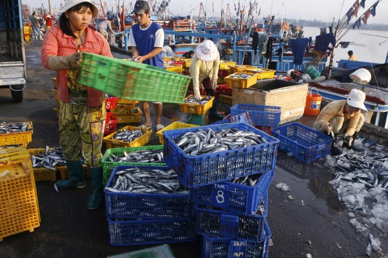 Một quyết định không công bằng!