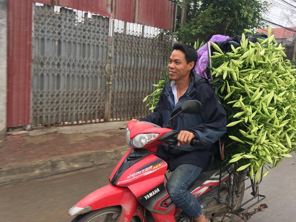 ha noi nguoi dan tay tuu tat bat thu hoach hoa loa ken
