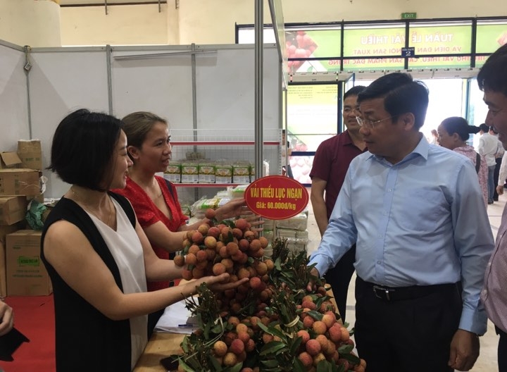 ha noi khai mac tuan le vai thieu luc ngan bac giang