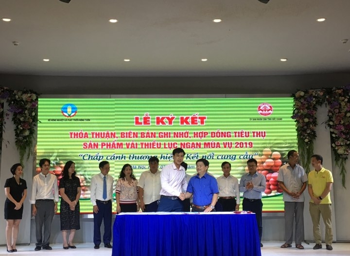 ha noi khai mac tuan le vai thieu luc ngan bac giang