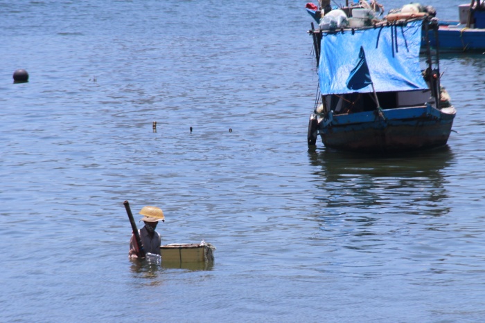 nguoi dan da nang muu sinh duoi cai nang nhu do lua