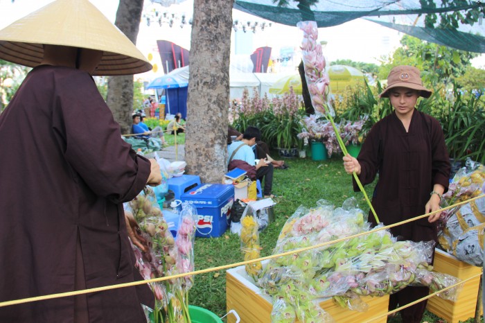 co mot hoa thuong di ban lan